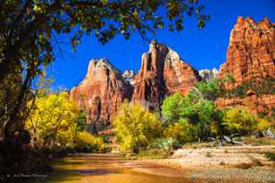 Zion Canyon, Fall-4379.jpg